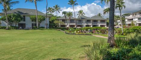 A hotel with multiple-story buildings, a well-maintained lawn, and palm trees.