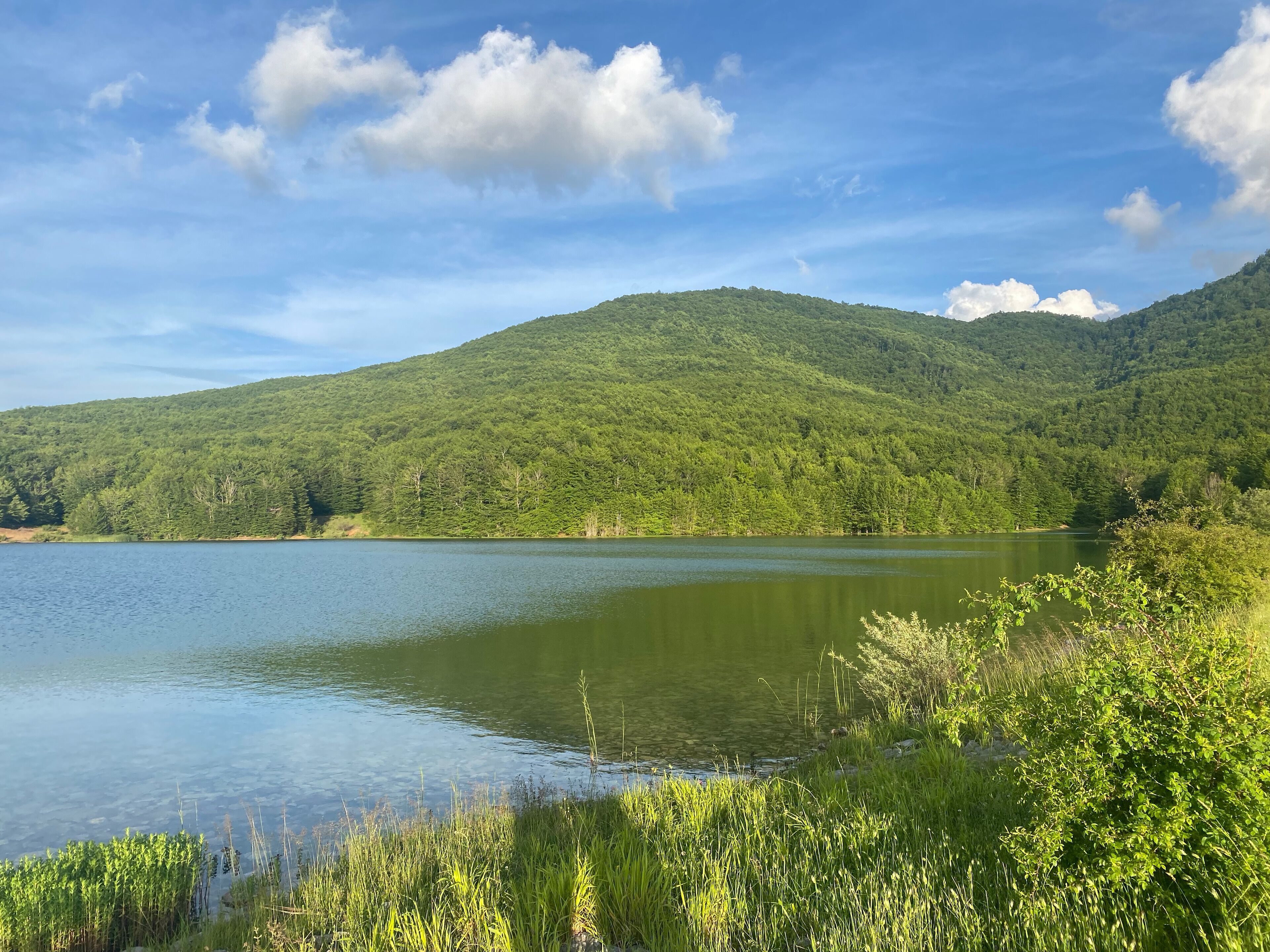 A serene lake surrounded by lush green hills under a clear sky.