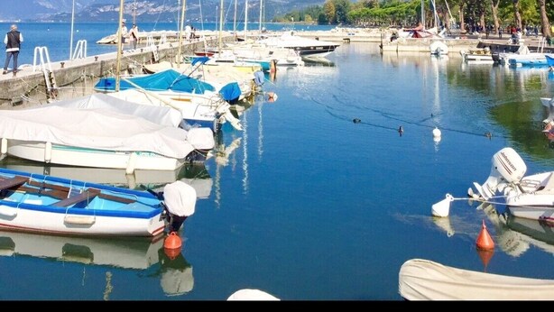 A marina with boats docked, calm water, and a clear blue sky.