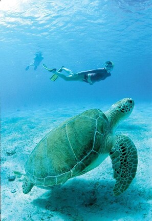 In Strandnähe, Liegestühle, Strandtücher