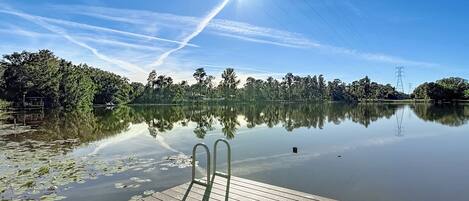 الإطلالة من المنشأة