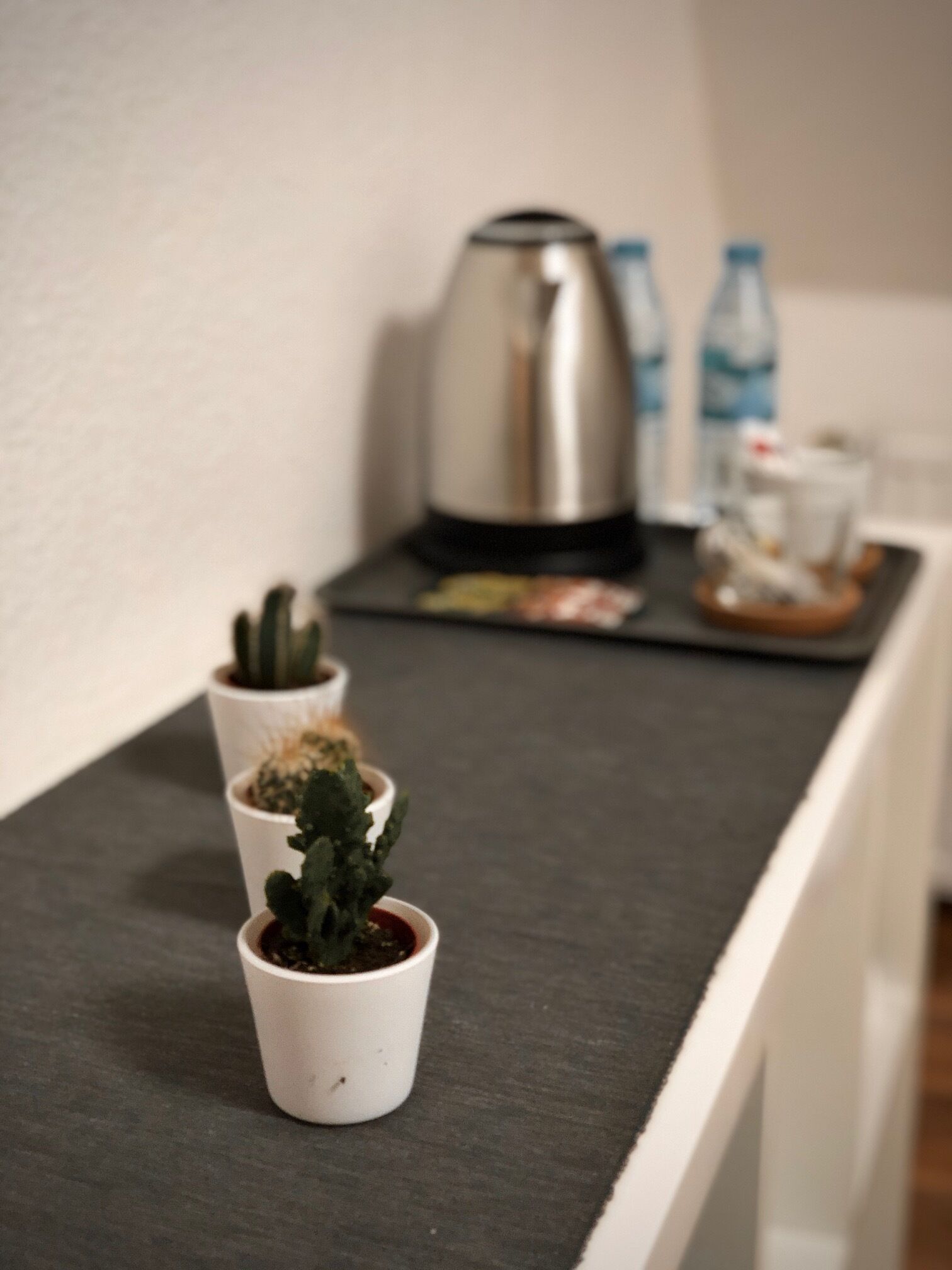Ein kleiner Küchenbereich mit einer Kaffeemaschine, Wasserflaschen und Blumentöpfen auf einer Arbeitsplatte.