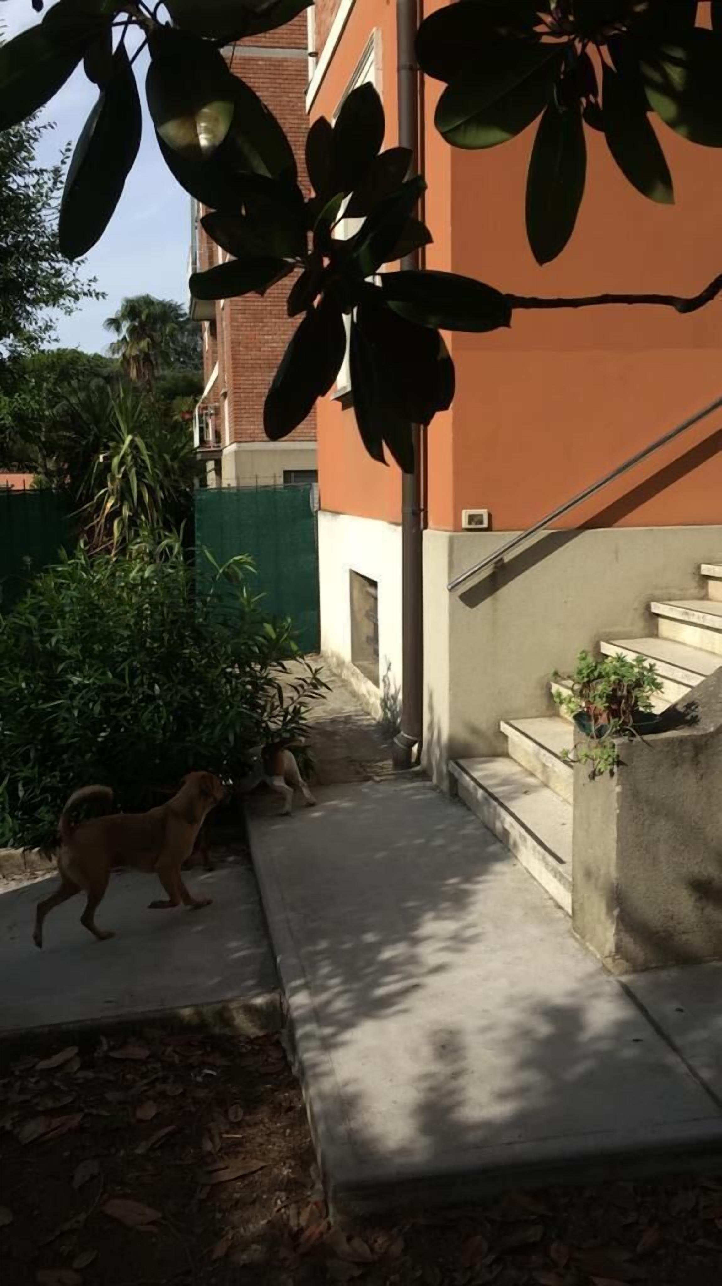 Photo - R&B La Villa