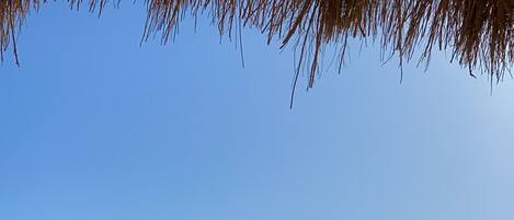 Nær stranden, solsenger og strandhåndklær