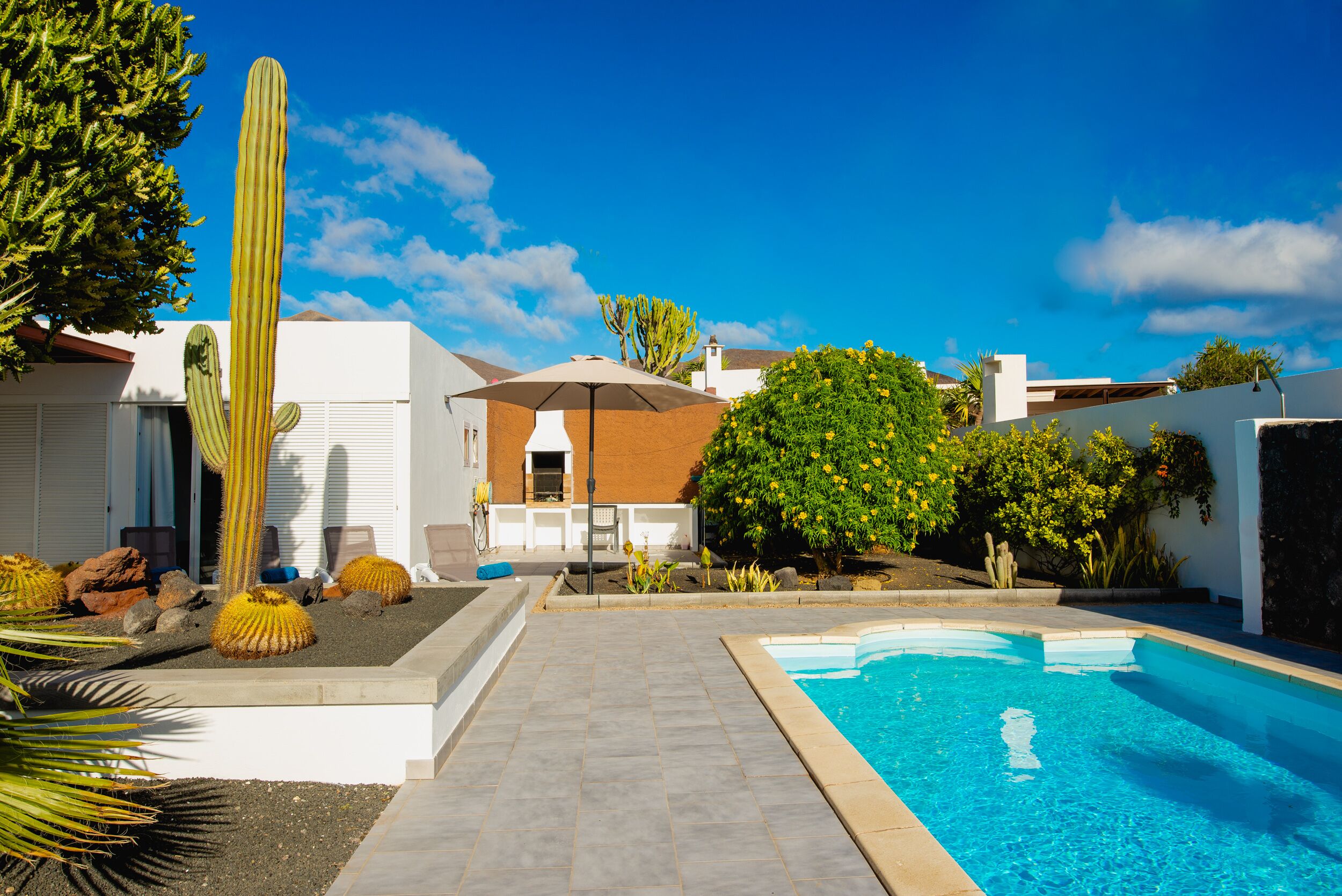 Ein Swimmingpool mit blauem Himmel, umgeben von Kakteen und einem kleinen Baum.