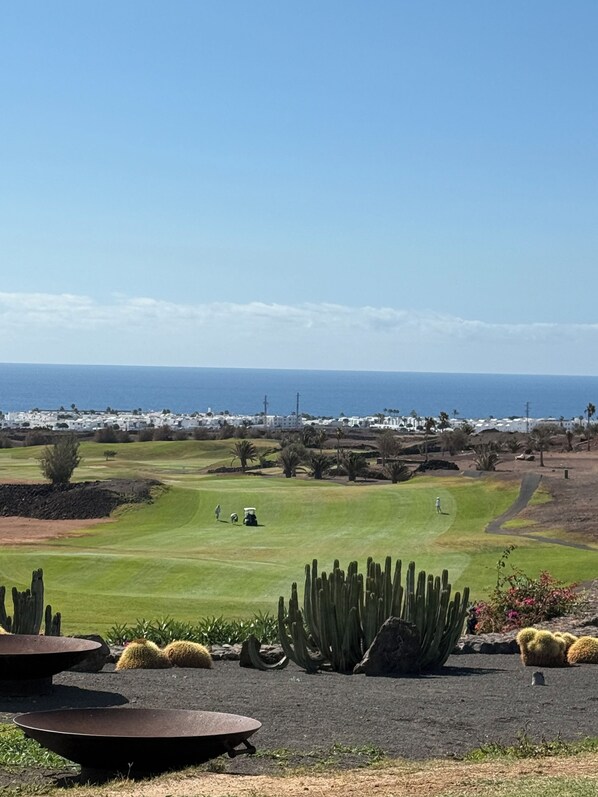 Ein Golfplatz mit Kakteen und Meerblick.