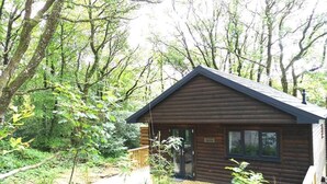 Eine Holzhütte mit einer Terrasse, umgeben von dichtem Wald.