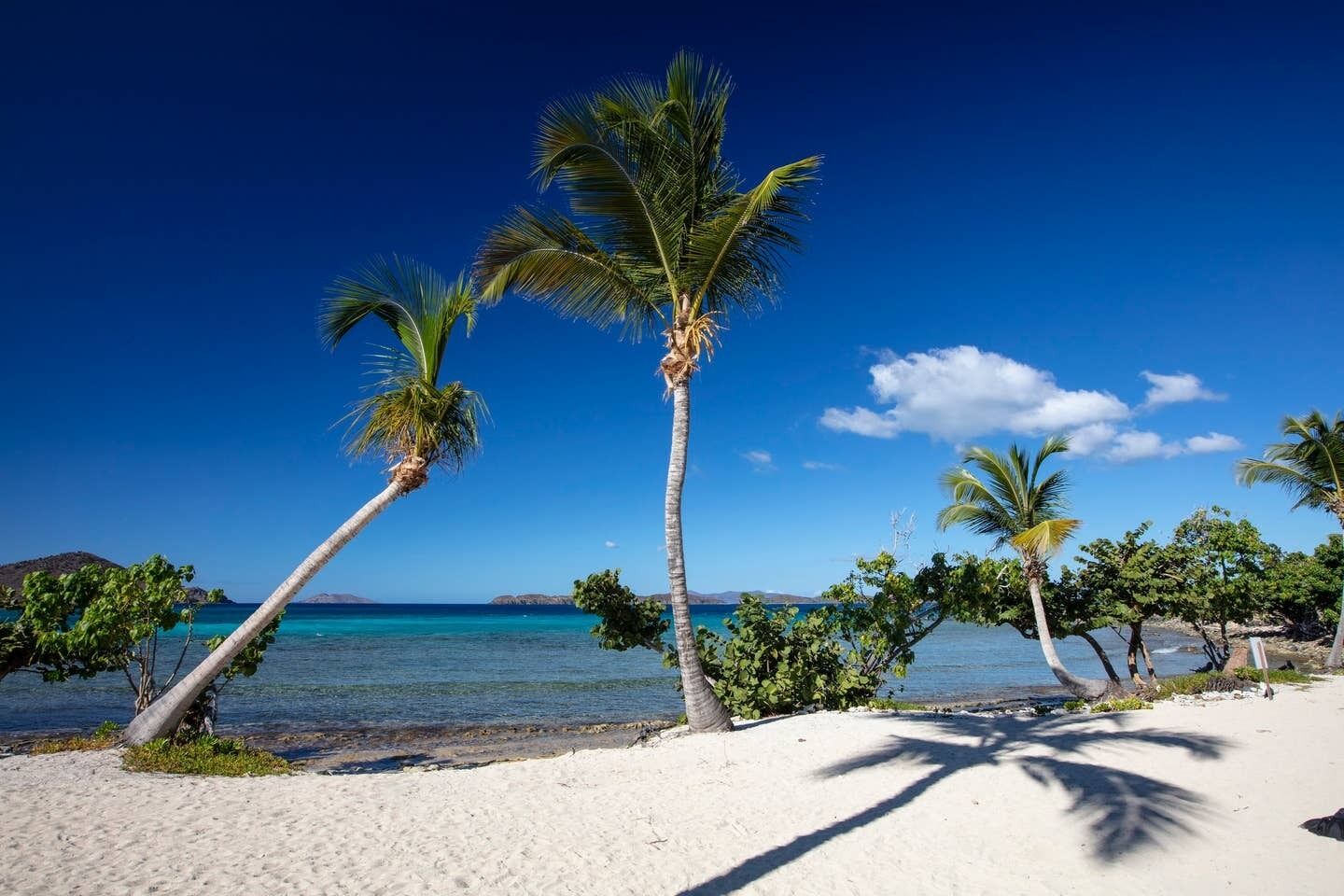 Plage, chaises longues, serviettes de plage