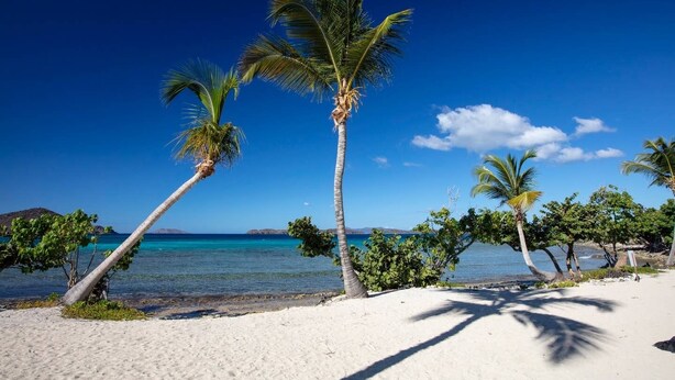 A beach with white sand and palm trees. - Sapphire Beach Resort Rental (St Thomas)