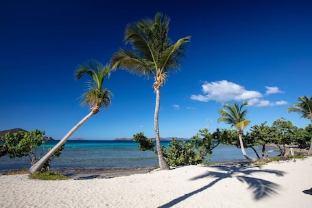 On the beach, sun loungers, beach towels. Sapphire Beach Resort Rental