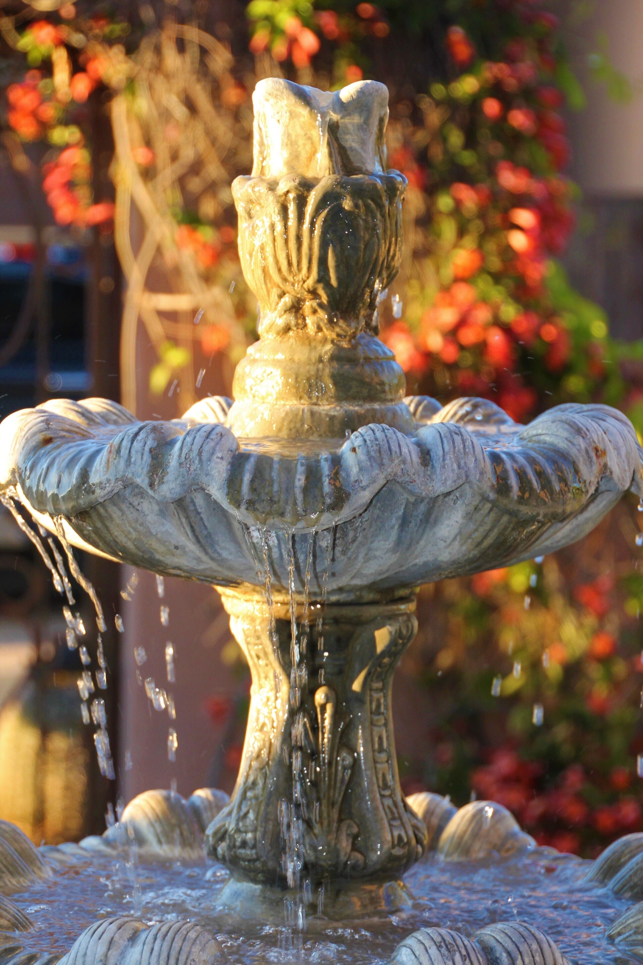 Een stenen fontein met water dat eruit stroomt, omgeven door groen en bloemen.