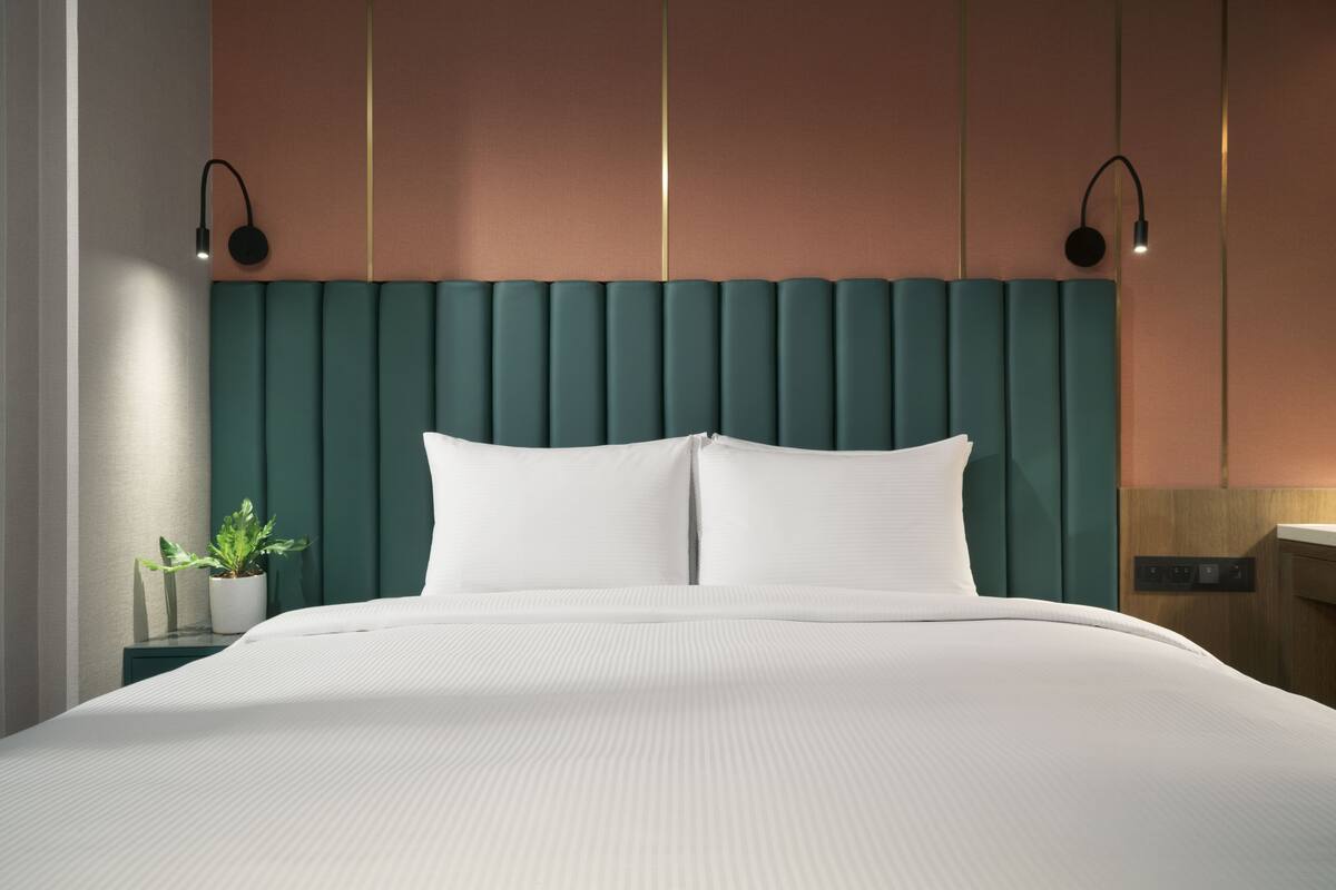 A modern bedroom with a teal headboard, white bedding, and a small plant on a bedside table.