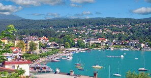 A coastal town with a marina filled with boats, surrounded by residential buildings and lush greenery.