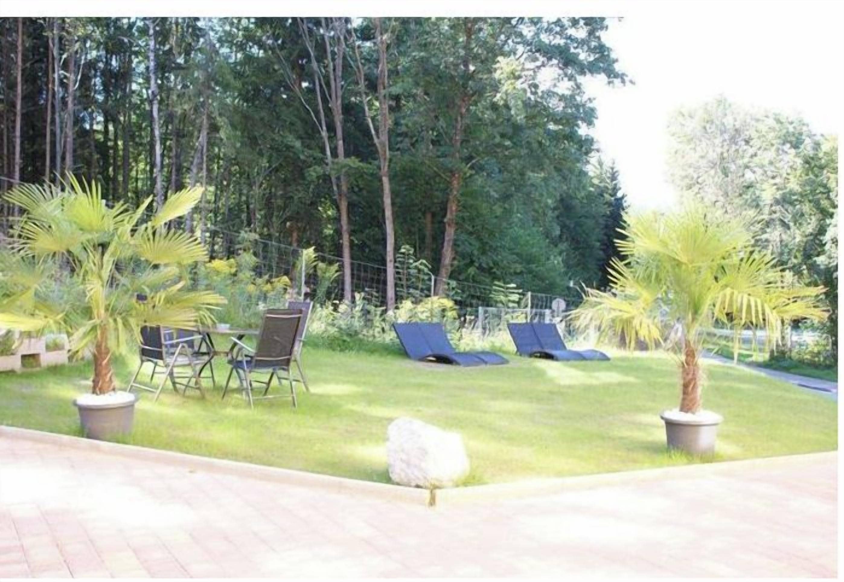 Un espace jardin comprenant une pelouse, deux palmiers et deux chaises longues.