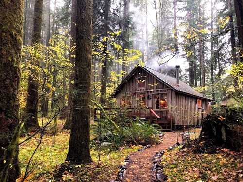 Authentic Vintage Cabin • Woodstove • Romantic Getaway for Two