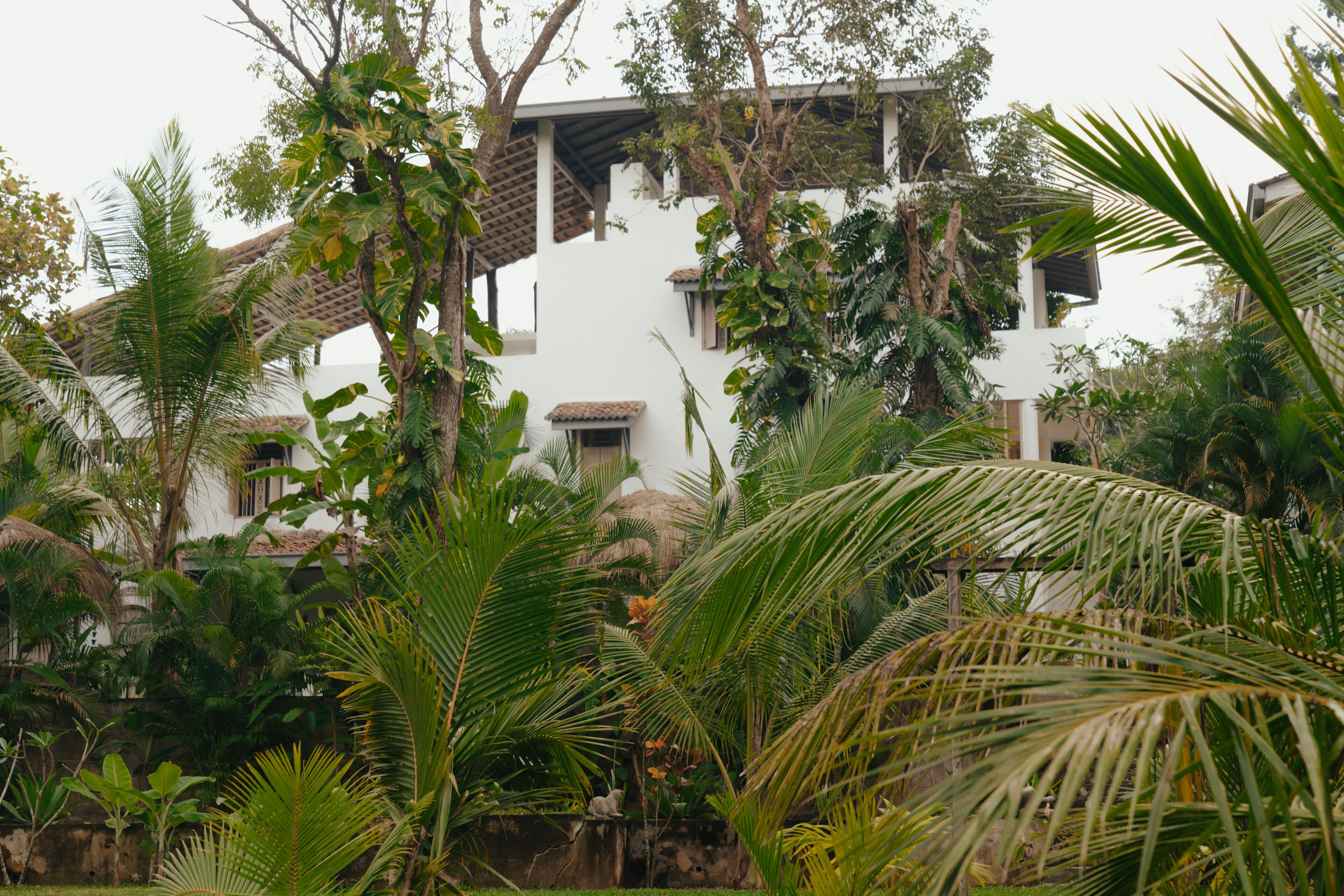 A white building with a tiled roof, surrounded by lush greenery including palm trees and other tropical plants.