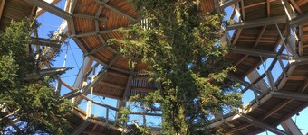 Apartment, 70 square meters, with a wonderful view of the Bavarian Forest
