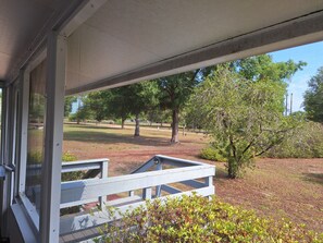 Property grounds - Peaceful forest cottage meticulously updated for your comfort. (Ocklawaha)