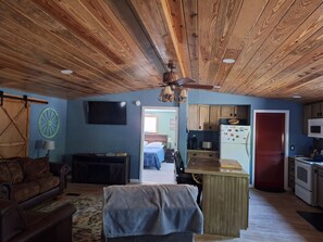 Smart TV, fireplace, books - Peaceful forest cottage meticulously updated for your comfort. (Ocklawaha)