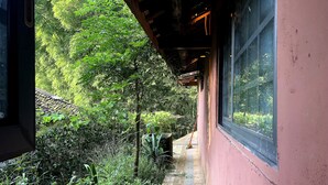 A narrow corridor with a wooden ceiling and a window overlooking a lush garden. - Qing Dynasty House (Leshan)