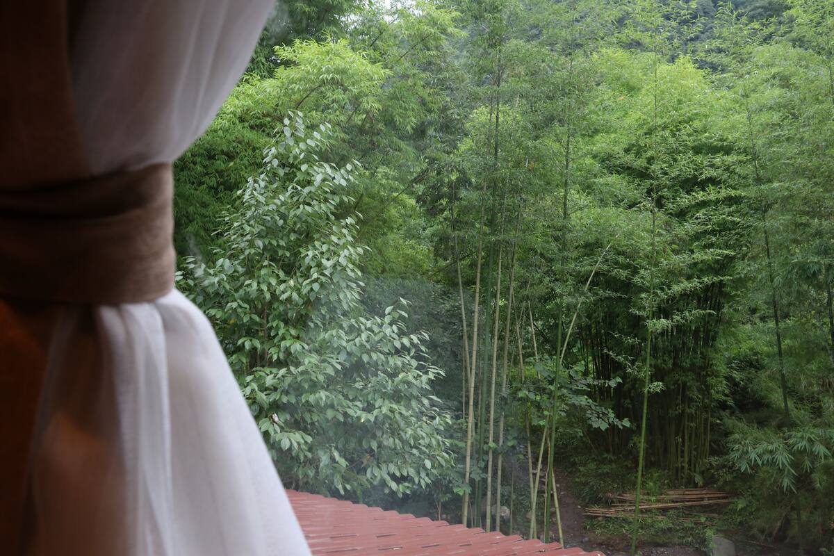 A view of a lush green forest from a window with a red roof.