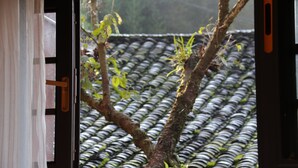 A window with a view of a tiled roof and a tree branch outside. - Qing Dynasty House (Leshan)