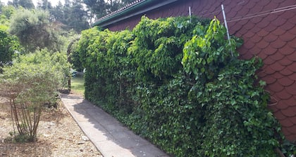 Holiday house Waldblick