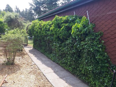 Holiday house Waldblick