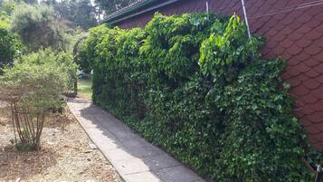 Área da propriedade