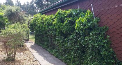 Holiday house Waldblick