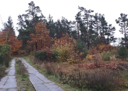 Holiday house Waldblick