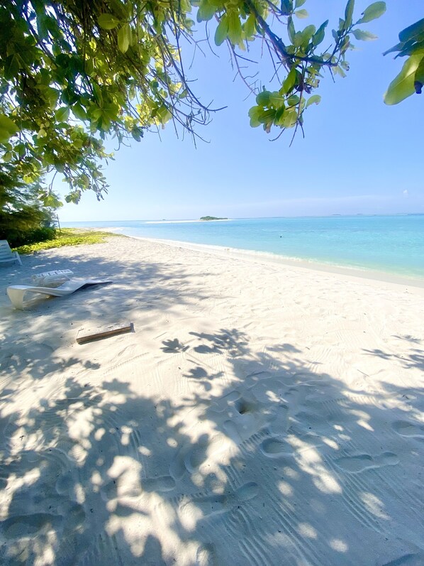 A beach with clear blue water, a sandy shore, and a small island in the distance.