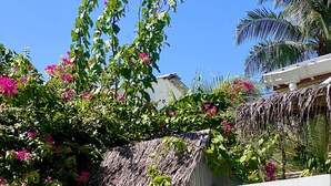 A wooden door with a thatched roof entrance, a white wall with a logo, and a garden with pink flowers. - Sands Inn (Mathiveri)