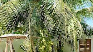 A wooden swing set, a small table, and a bench in a sunny outdoor area with palm trees. - Sands Inn (Mathiveri)