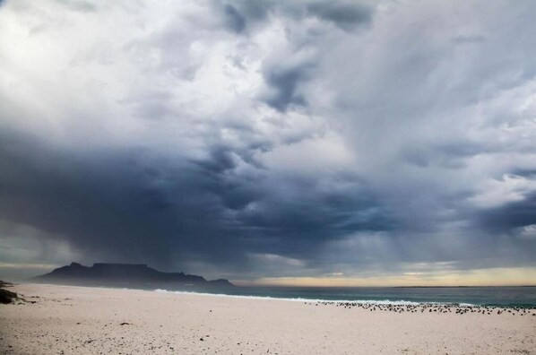 A beach with a wide sandy shore and a mountain range in the distance under a cloudy sky.
