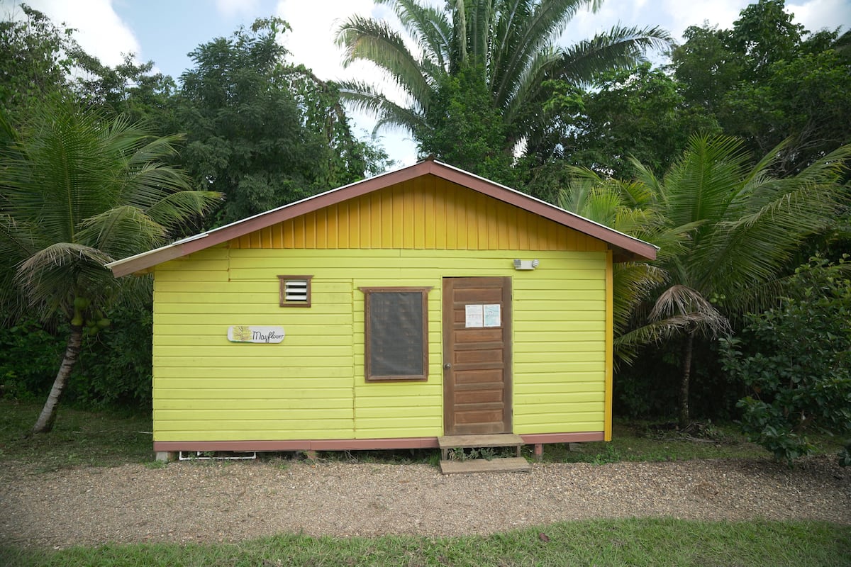Un pequeño edificio amarillo de una sola planta, con una puerta y ventana marrones, rodeado de exuberante vegetación.