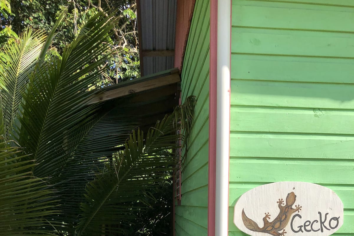 Un edificio verde con una escalera de madera que lleva a una puerta. Un letrero en la puerta dice "Gecko".
