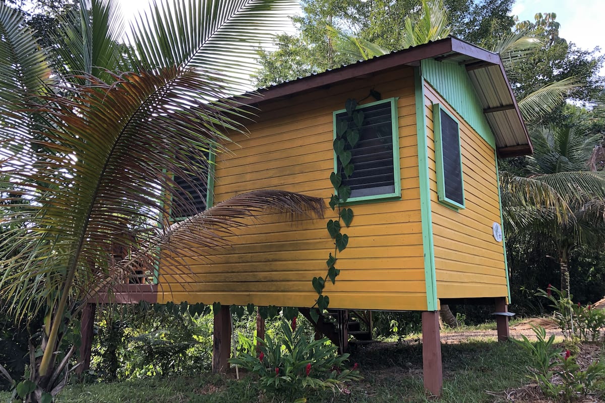 Una estructura de madera amarilla con techo verde, rodeada de abundante vegetación.