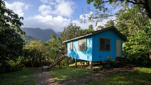 A blue wooden house with a staircase leading up to it, surrounded by lush greenery and trees. - T.R.E.E.S Research Center and Eco Lodge (Belmopan)