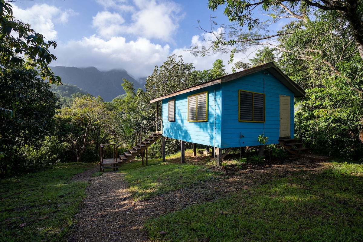Una casa azul de madera con una escalera que lleva a la entrada, rodeada de abundante follaje y árboles.