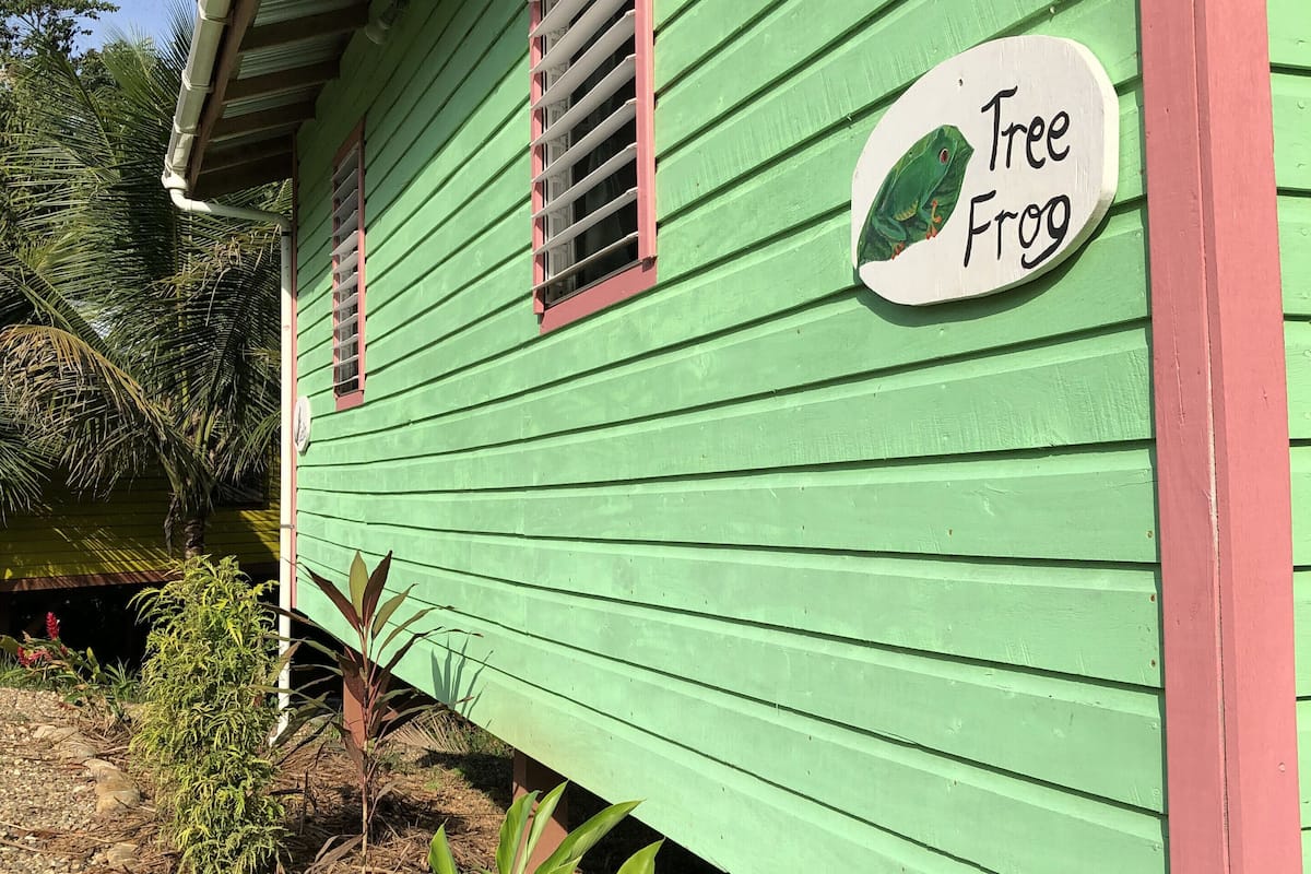 Un edificio verde con un letrero que dice "Tree Frog".