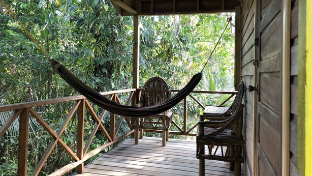 A wooden deck with a hammock chair and a wooden chair, surrounded by lush greenery. - T.R.E.E.S Research Center and Eco Lodge (Belmopan)
