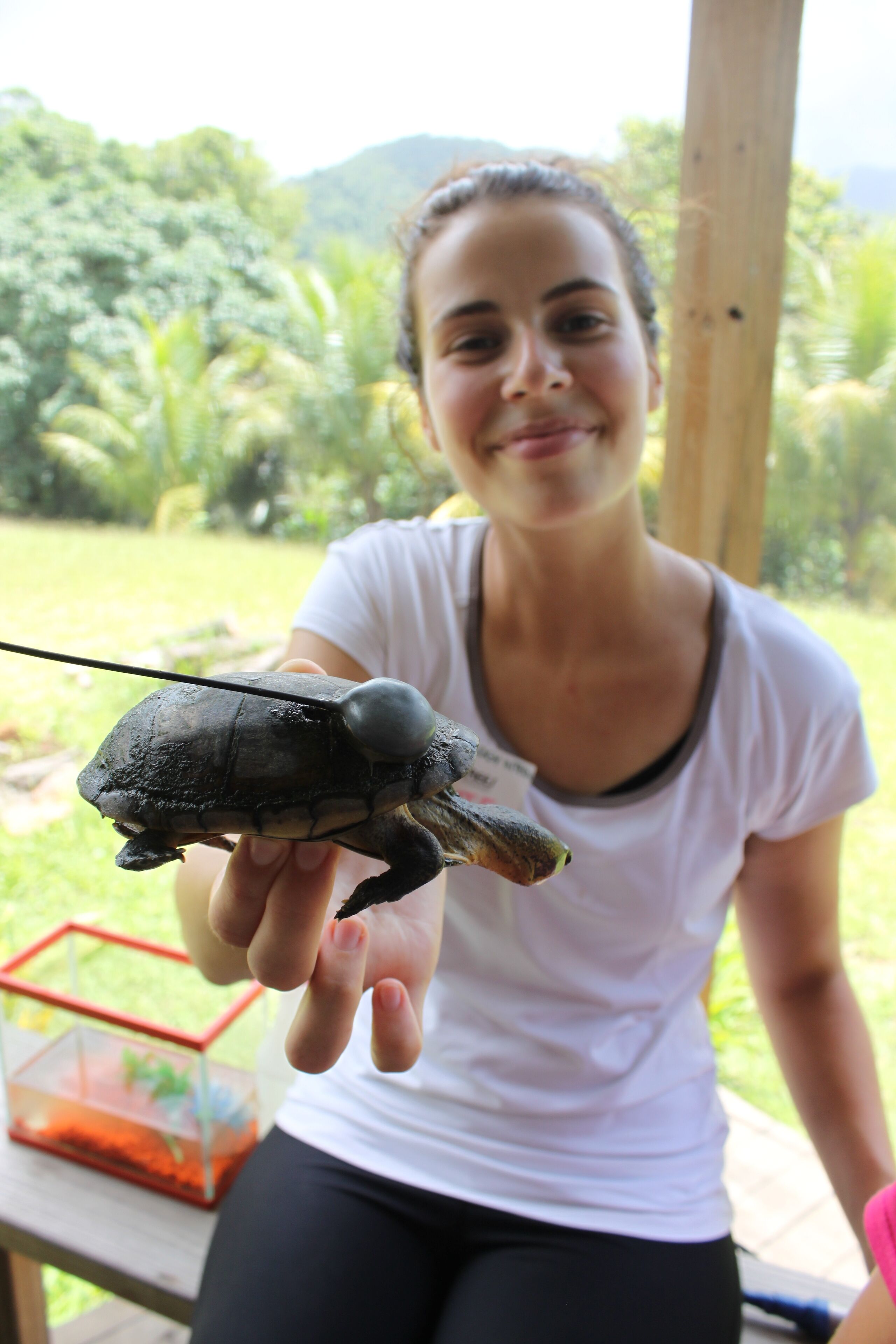 A person holding a turtle outdoors with a wooden structure and greenery in the background.