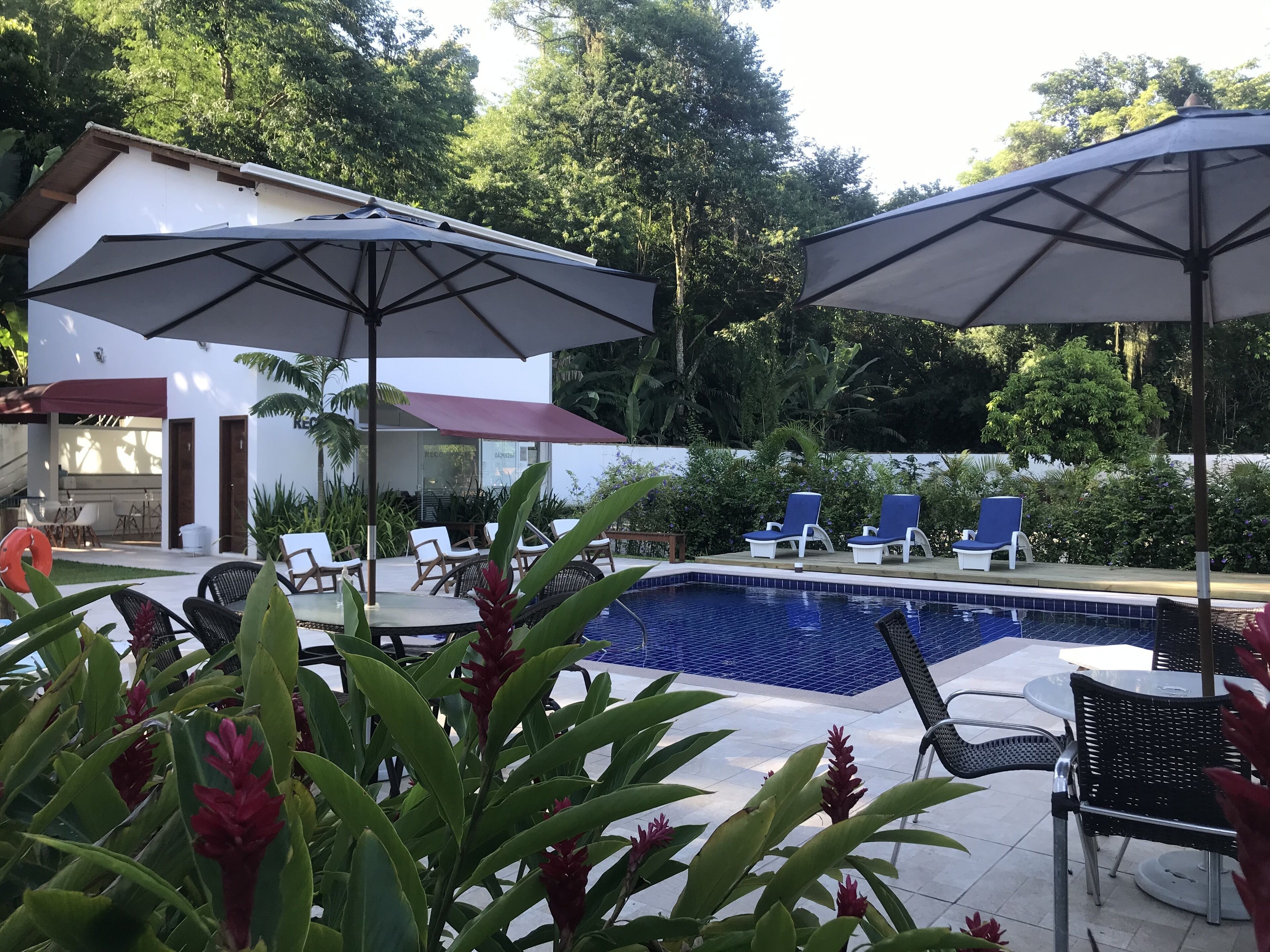 Zona de piscina con sillones de descanso y sombrillas, rodeada de vegetación y un edificio de fachada blanca.