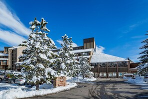 Un bâtiment recouvert de neige, avec une façade en pierre, un parking et des arbres chargés de neige.
