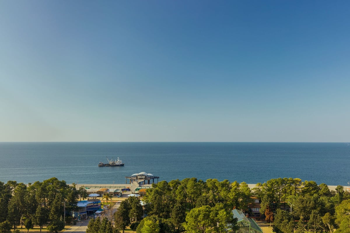 A coastal view with a pier, a boat, and a beach area with trees and buildings.