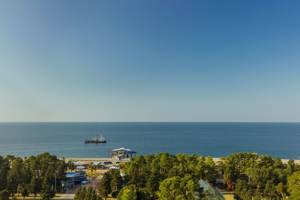 A coastal view with a pier, a boat, and a beach area with trees and buildings. - Le Méridien Batumi (Batumi)