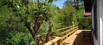 Ferienhaus Hellaberg - Ruhe und Erholung im Thüringer Wald