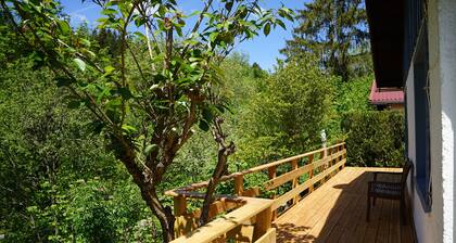 Hellaberg house rental - Rest and relaxation in the Thuringian Forest