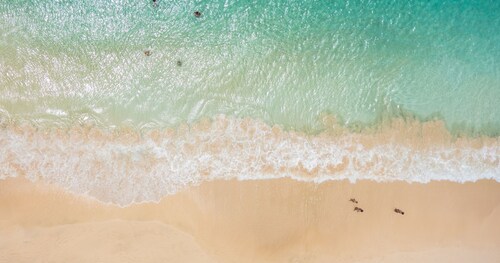 Art Suites by Casa de Indias